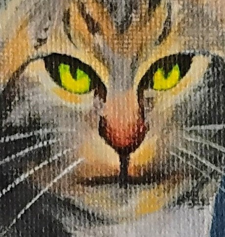 Chilli in the window, 11x14 Original Acrylic on canvas