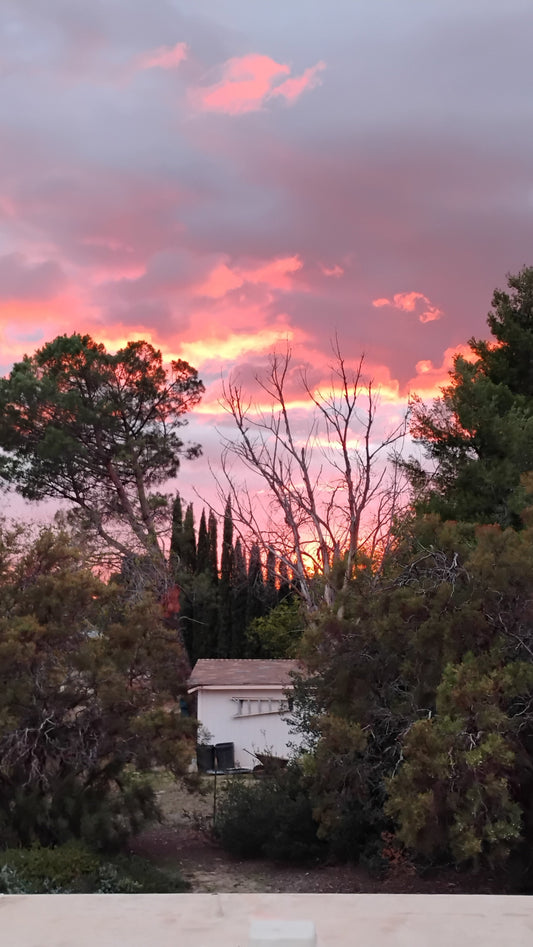 Life changing! The last 6 months!