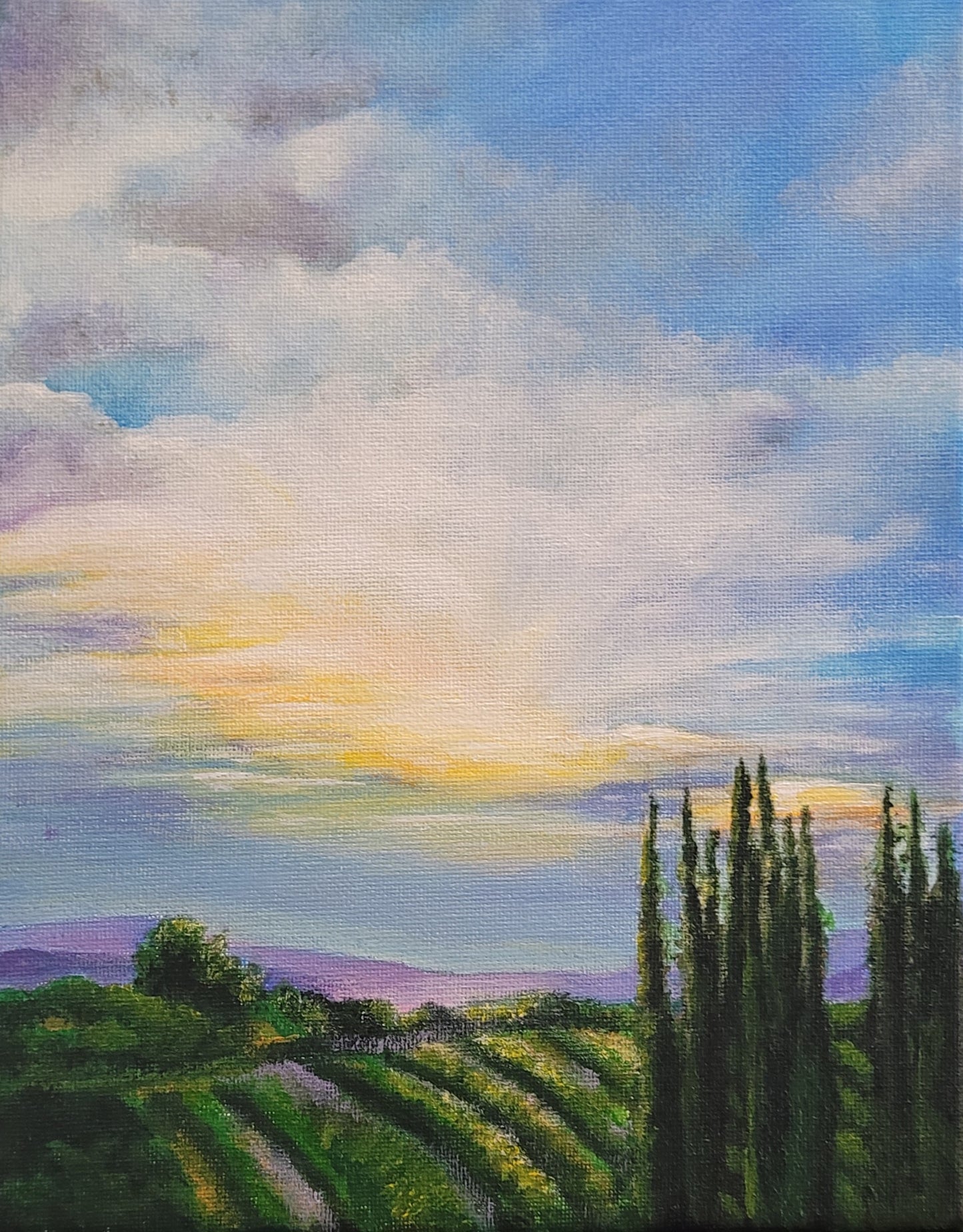 Sunset at the Vineyards, 8.5x11 Original Acrylic on canvas